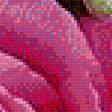 Preview of cross stitch pattern: #1952045