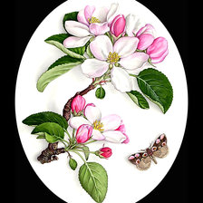 Cross stitch pattern: #1953059