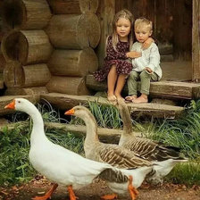 Cross stitch pattern: #1954194