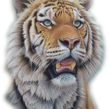 Cross stitch pattern: #1954424