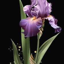 Cross stitch pattern: #1955302