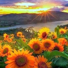 Cross stitch pattern: #1957244