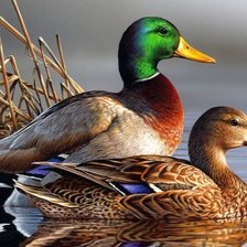 Cross stitch pattern: #1958256