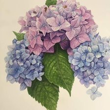 Cross stitch pattern: #1960904