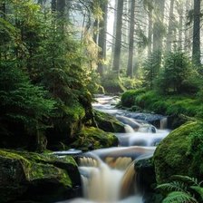 Cross stitch pattern: #1960906