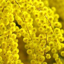 Cross stitch pattern: #1961044