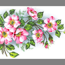 Cross stitch pattern: #1965274