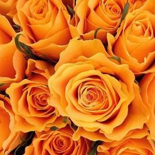 Cross stitch pattern: #1967369