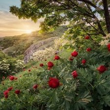 Cross stitch pattern: #1968225