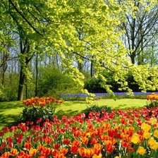 Cross stitch pattern: #1968242