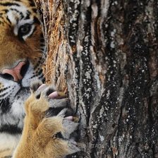 Cross stitch pattern: #1968259