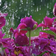 Cross stitch pattern: #1968277