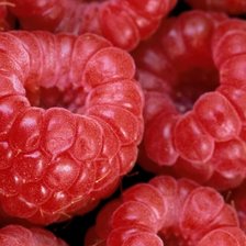 Cross stitch pattern: #1968814