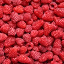 Cross stitch pattern: #1968815