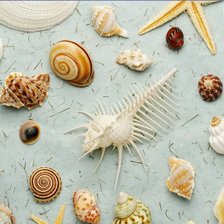 Cross stitch pattern: #1968824