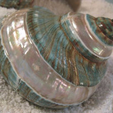 Cross stitch pattern: #1968825