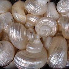 Cross stitch pattern: #1968827