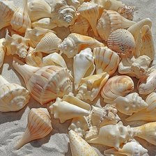 Cross stitch pattern: #1968829