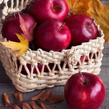 Cross stitch pattern: #1969403