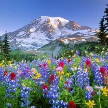 Cross stitch pattern: #1970948