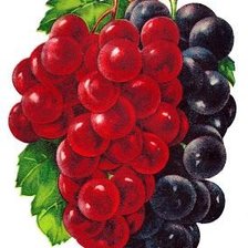 Cross stitch pattern: #1971090