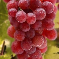 Cross stitch pattern: #1971121