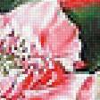 Preview of cross stitch pattern: #1971706