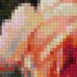 Preview of cross stitch pattern: #1971982