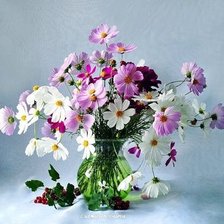 Cross stitch pattern: #1972439