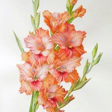 Cross stitch pattern: #1972453