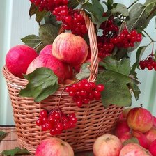 Cross stitch pattern: #1972456