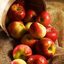 Cross stitch pattern: #1972458