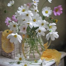 Cross stitch pattern: #1974555