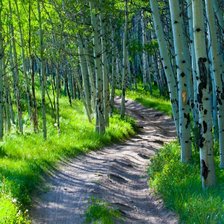 Cross stitch pattern: #1974577