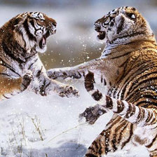 Cross stitch pattern: #1974935