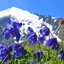 Cross stitch pattern: #1974938