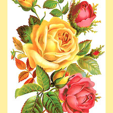 Cross stitch pattern: #1975719