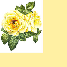 Cross stitch pattern: #1975793