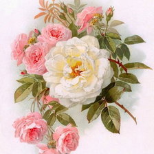 Cross stitch pattern: #1978266