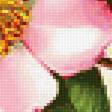 Preview of cross stitch pattern: #1980874