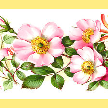 Cross stitch pattern: #1980874