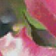 Preview of cross stitch pattern: #1982973