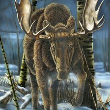 Cross stitch pattern: #1983358