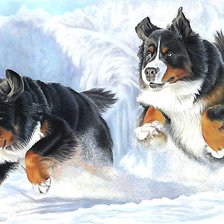 Cross stitch pattern: #1983810