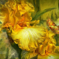 Cross stitch pattern: #1985369