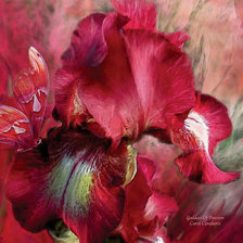 Cross stitch pattern: #1985373