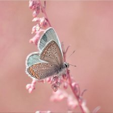 Cross stitch pattern: #1985384