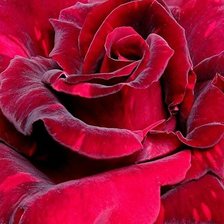 Cross stitch pattern: #1985716