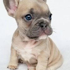 Cross stitch pattern: #1985949