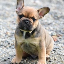 Cross stitch pattern: #1985950